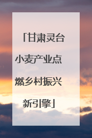 甘肃灵台小麦产业点燃乡村振兴新引擎
